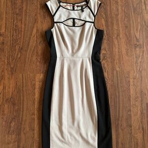 BCBGMaxAzria Body Contour Midi Dress